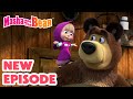 Masha And The Bear 2024 NEW EPISODE Well Beeing Best Cartoon Collection