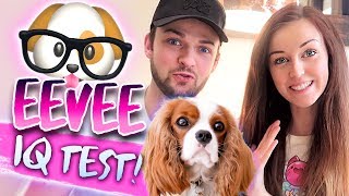 🐶🤓TESTING OUR DOG&#39;S INTELLIGENCE 🤓🐶 (Doggy IQ Test!)