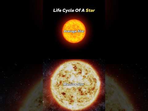 Life cycle of A Star | Black hole Neutron star Formation #star #space #astronomy #cosmos #shorts