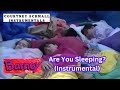 Barney Are You Sleeping Instrumental