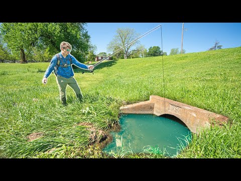 Fishing Urban Ditches & Ponds HIDDEN In Plain Sight! (Casting Concrete Louisiana)