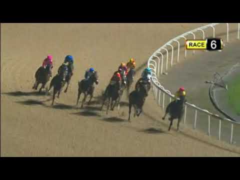 Singapore Race - 18/01/2019