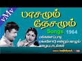 Theriyumaa Theriyumaa A M R PASAMUM NESAMUM 1964 Old Tamil Songs VMv