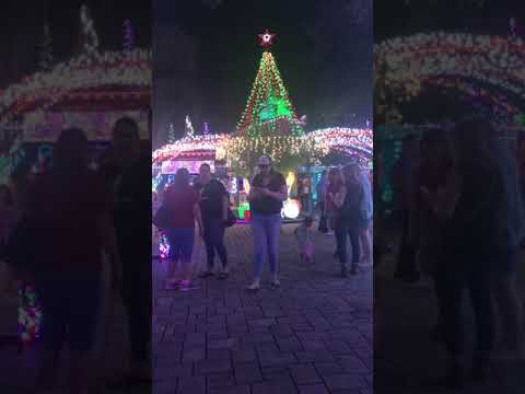 Johanessen Lights 2017