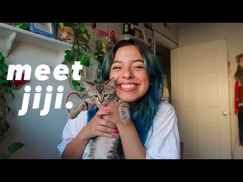 🐾Meet Jiji The Cat ₍˄·͈༝·͈˄₎◞