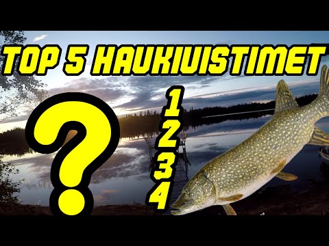 TOP 5 HAUKIUISTIMET