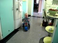 James The Toddler Riding Bike In Kitchen Smash Em Up Derby Style