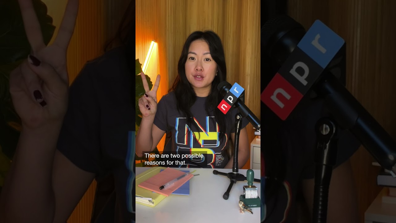 Donald Trump's 2024 election victory fuels claims of fraud on both sides of the political divide