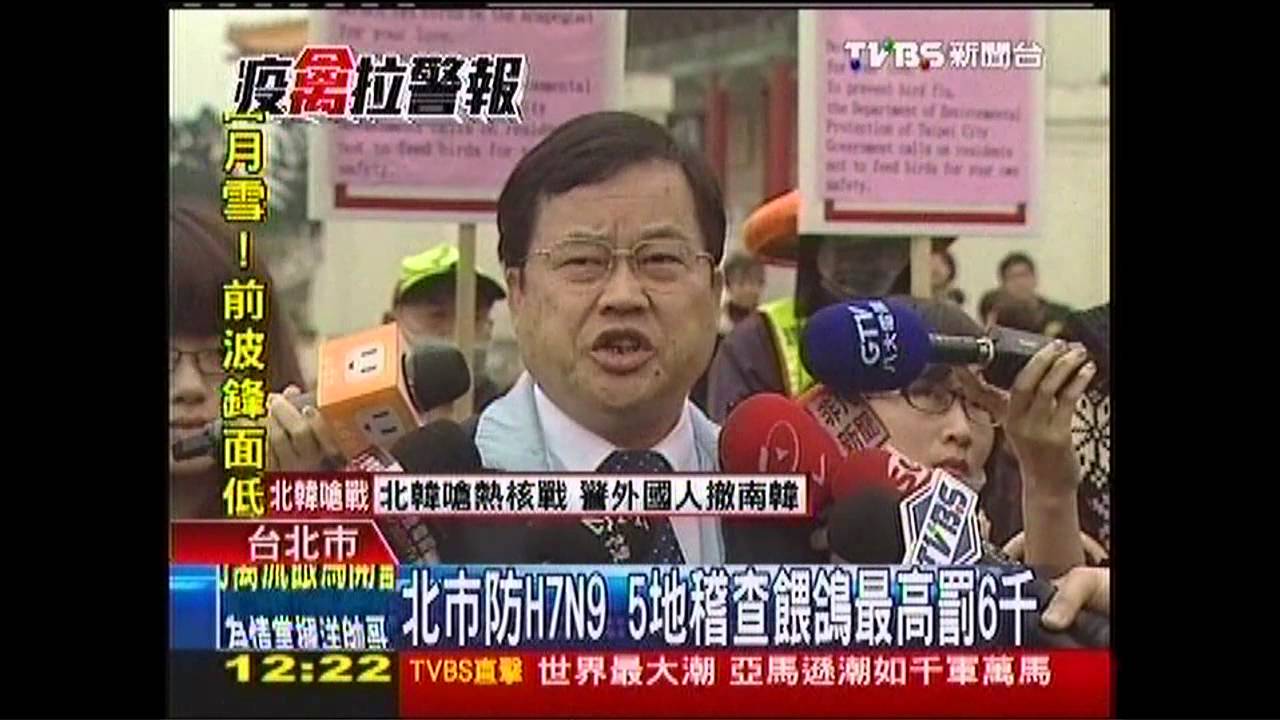 北市防H7N9!5地稽查餵鴿 最高罰6千