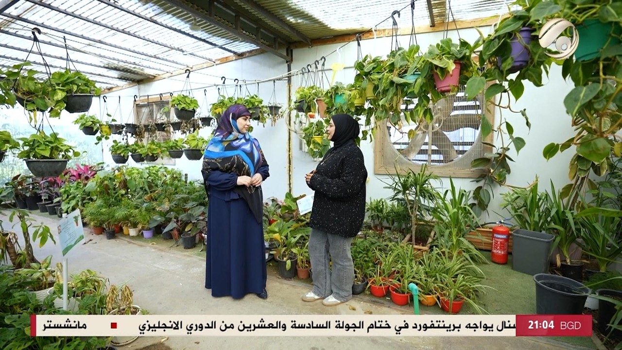 فيديو | انتِ مع انسجام الغراوي - المهندسة حنان .. من خريجة كلية الزراعة الى صاحبة مشتل | 2026/2/13