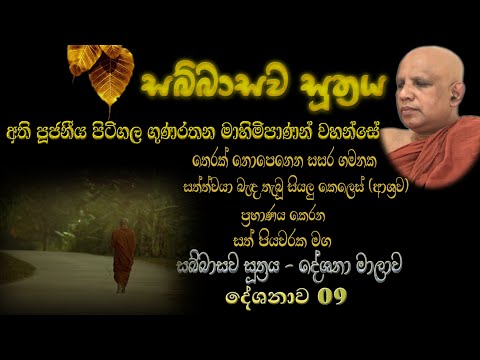 Sabbasawa Sutta 09 - සබ්බාසව සූත්‍ර දේශනා මාලාව 09 - අති පූජනීය පිටිගල ගුණරතන මාහිමිපාණන් වහන්සේ