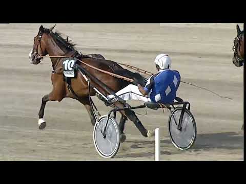 Napoli Trotto 03/06/2023 - 7ª corsa