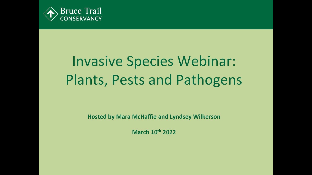 Invasive Species: Plants, Pests, and Pathogens