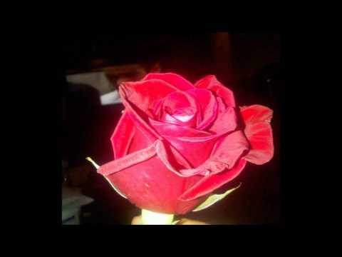 Cumpleaños Yamileth