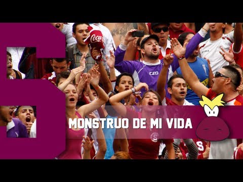 "Ultra Morada - Monstruo de mi vida" Barra: Ultra Morada • Club: Saprissa • País: Costa Rica