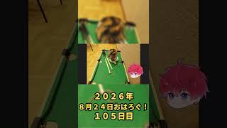 月曜日、猫みたいにマイペースでいこう。｜8月24日のおはろぐ105日目