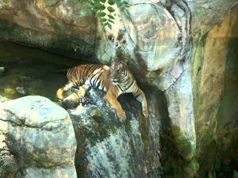 My Choice 761 - Alain Morisod: It Was a Nice Day