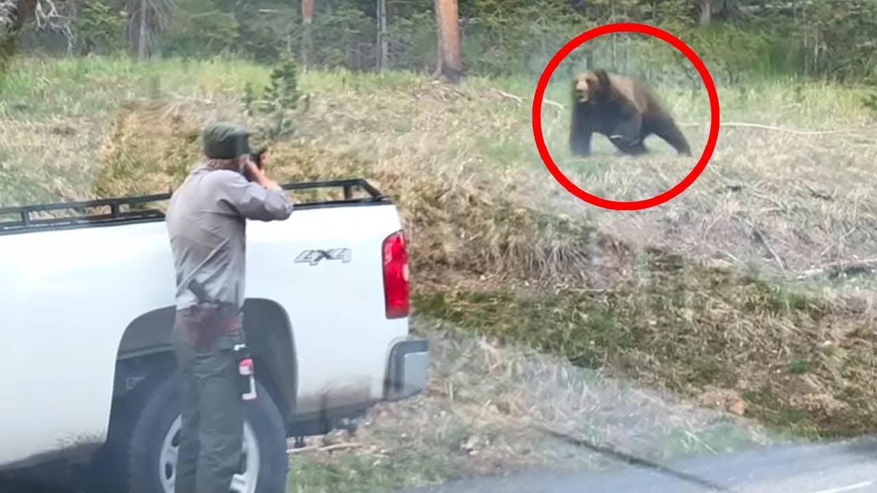12 Times Park Rangers Messed With The Wrong Animals