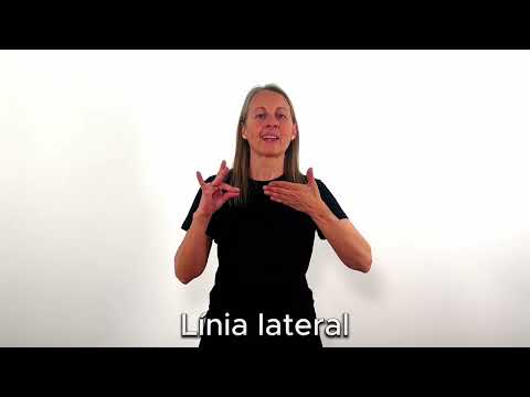 Línia lateral - LSC