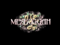 Meshuggah Spasm Tuned Down 