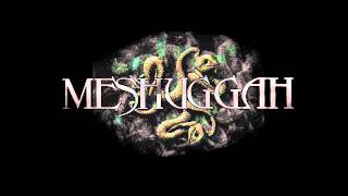 Meshuggah Spasm Tuned Down