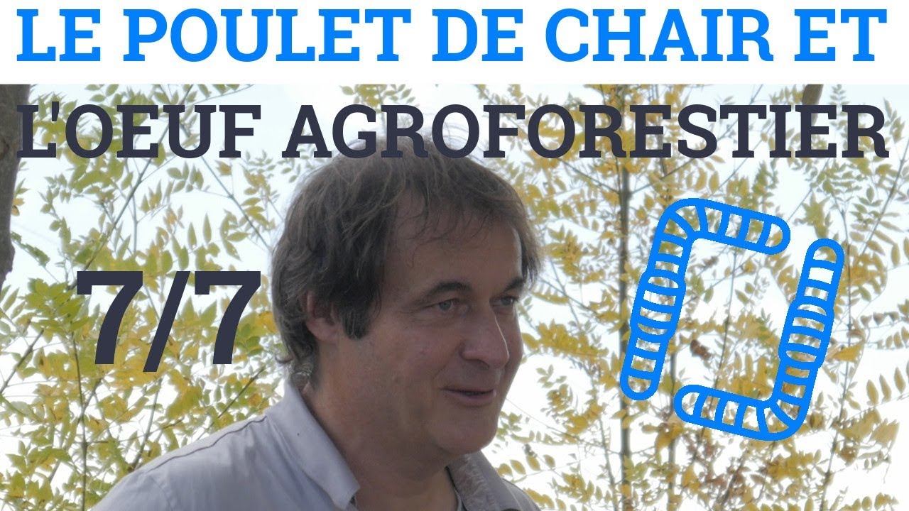 7/7 - Alain CANET - Le Poulet de Chair et l'Oeuf Agroforestier : Ferme de Démonstration