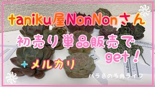 【多肉植物】【ガーデニング】taniku屋NonNonさん　初売り単品販売でget！＋メルカリ