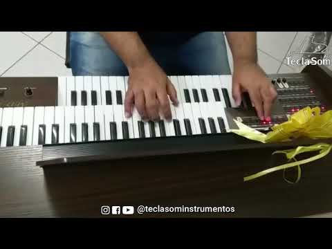 Orgão Eletrônico Tokai Md 7 - Loja Teclasom