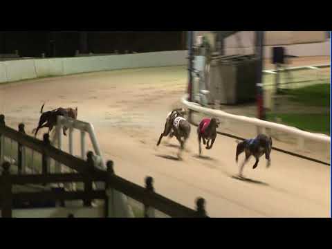 2021 CORAL ESSEX VASE FINAL - T1 ANTIGUA ROMEO