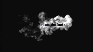 The Bird and the Snake by Wolves at the Gate Lyrics