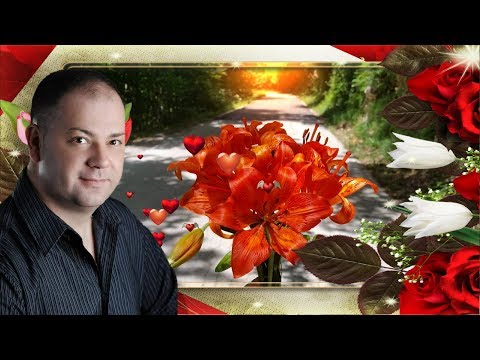 Adnan Zenunovic - Poljem se siri miris ljiljana [Uzivo]