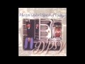 Martin Taylor's Spirit Of Django - Gypsy Medley：Cold Winds／The Tipsy Gipsy／Czardas