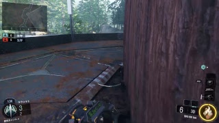 WW2が出ても俺はBO3を