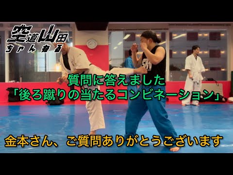 【武道】質問に答えました「後ろ蹴りコンビネーション」【格闘技】