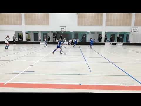 Nibacos Valkoinen - Blue Fox Sininen 10.12.