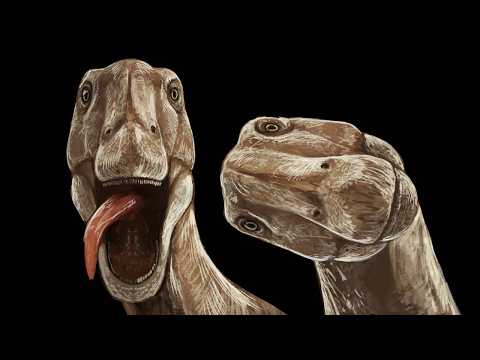 When The Sauropods Just Disappeared