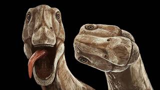 When The Largest Animals To Ever Walk Just...Stopped MQDEFAULT Thumbnail