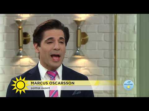 IT-skandalen: "Regeringen orolig för KU-granskningen" - Nyhetsmorgon (TV4)