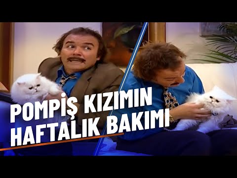 Evcil Hayvan Bakımı Hakkında Her Şey 😻