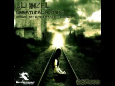 DSR069 Ali Inzel Unnatural History Kay D Remix