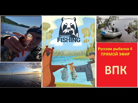 Фото Русская рыбалка 4. Russian Fishing 4. рр4. rf4. СТРИМ. Прямой эфир. Рыбалка на спиннинг. Рыбалочка.