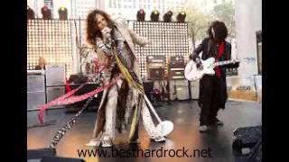 Aerosmith - Roadrunner