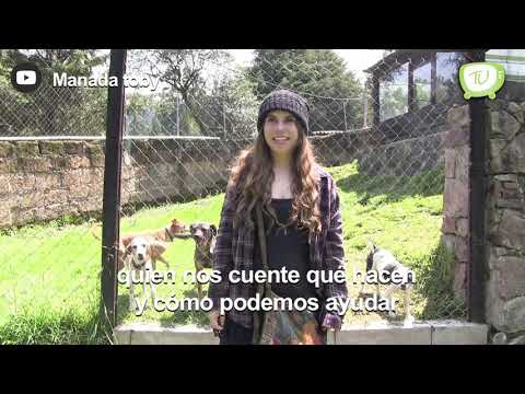 Mexicanos Brillando por México - Samia Klimos (Fundación TOBY)