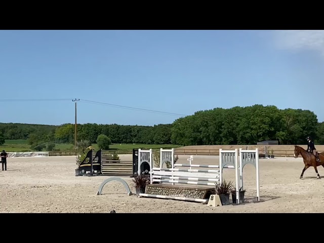 HONGRE - 10 ANS - CSO HUNTER - EXP. 125/130