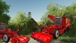 Farming Simulator 19 - Harvesting Patato Where to sell Potatoes