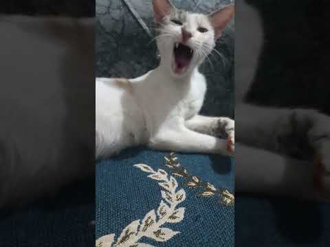 Like share subscribe