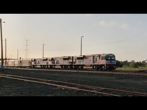 PM9 With Triple SCT Class Locomotives - PoathTV Australian Trains & Railways