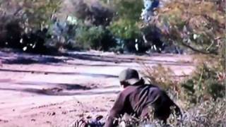 SOUTH TEXAS TROPHY WHITETAIL!  171 B&C, Low Fence, MONSTER BUCK!