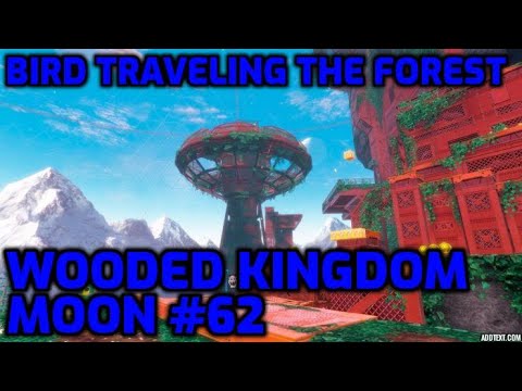 Super Mario Odyssey - Wooded Kingdom Moon #62 - Bird Traveling the Forest