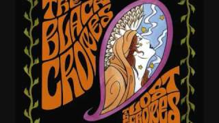 The Black Crowes - Let Me Share The Ride